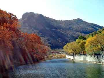 大三巴一肖二码最准，湖南黑山羊价格